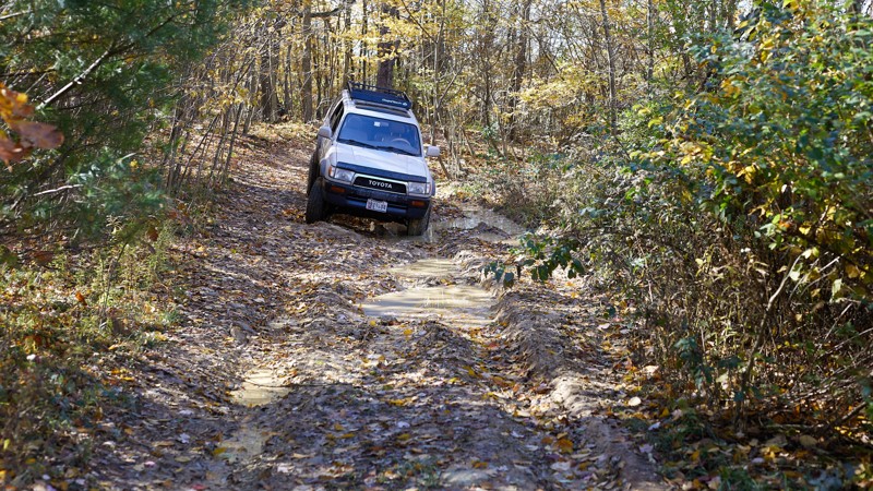 Maryland: Wolf Den Run State Park - 0201 Huckleberry Rocks Area Hero Photo