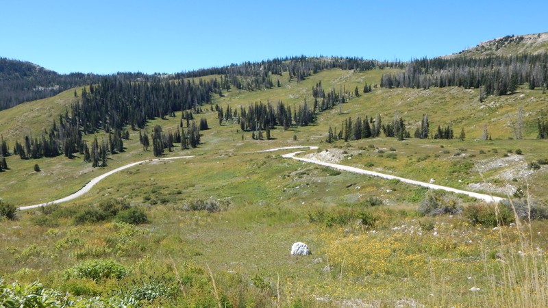 22 Mayfield Trail Review Photo