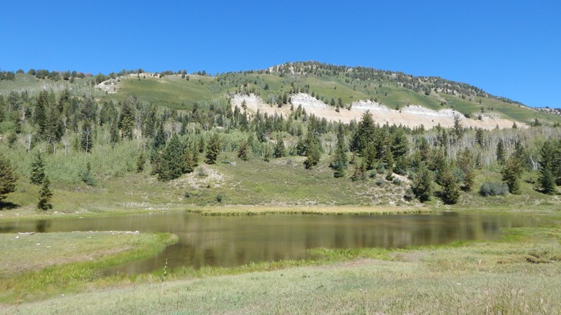22 Mayfield Trail Review Photo