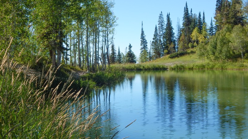 Utah: Six Mile Ponds Hero Photo