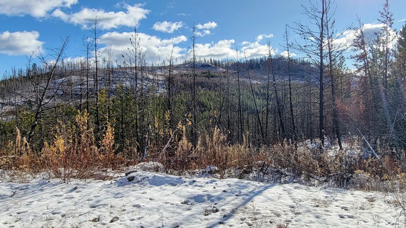South Whiteman Creek Road Trail Review Photo