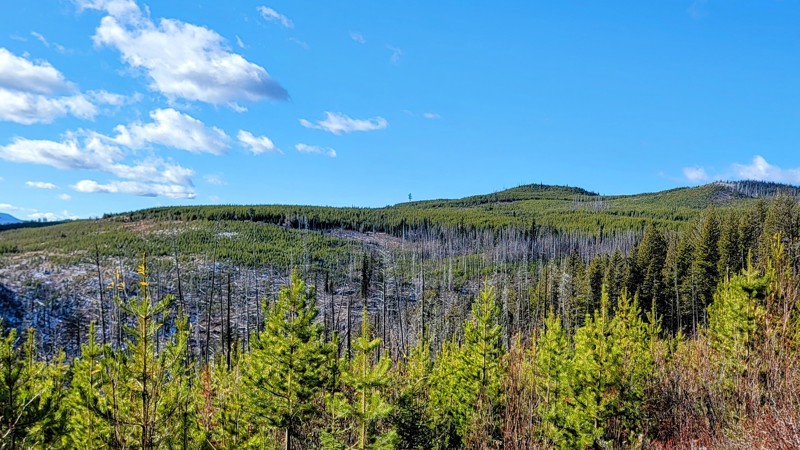 South Whiteman Creek Road Trail Review Photo