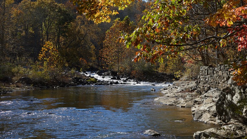 Coal Haul Road Trail Review Photo