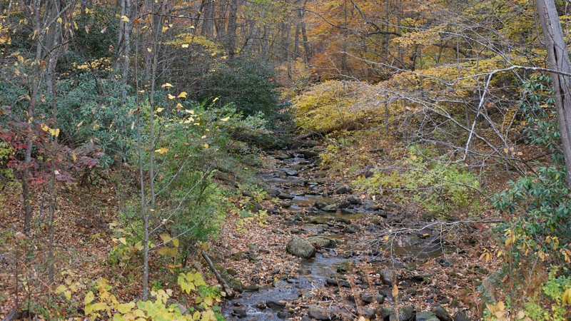 Wolf Den Run State Park - 2101 Potomac River Area Trail Review Photo