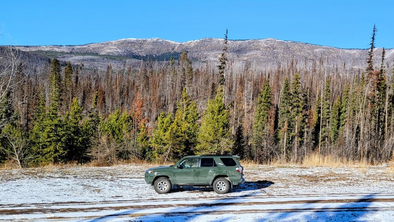 Stuart Forest Service Road Trail Review Photo