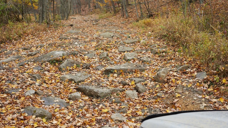 Wolf Den Run State Park - 2105 Potomac River Area Trail Review Photo