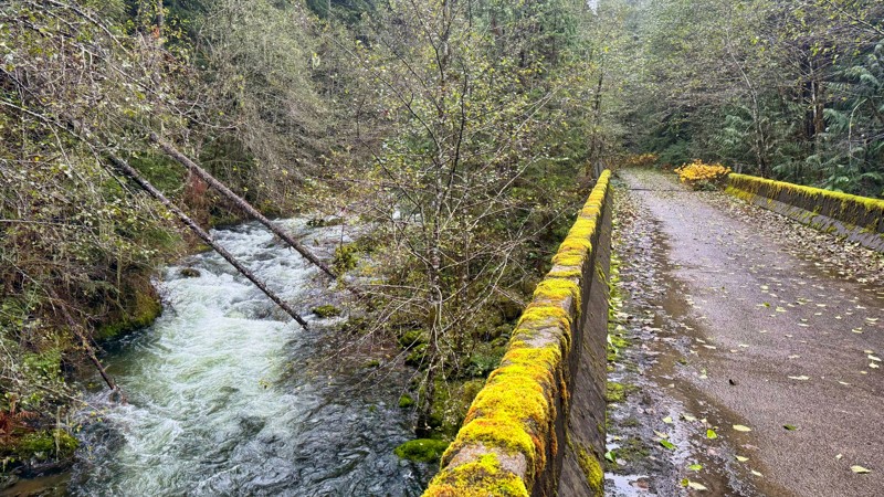 Washington: Nisqually Loop Hero Photo