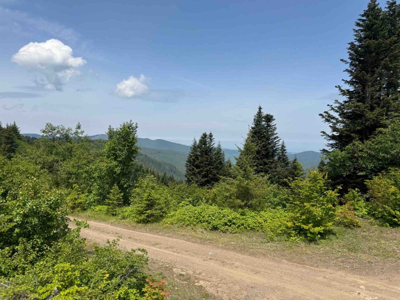 Nisqually Loop Trail Review Photo