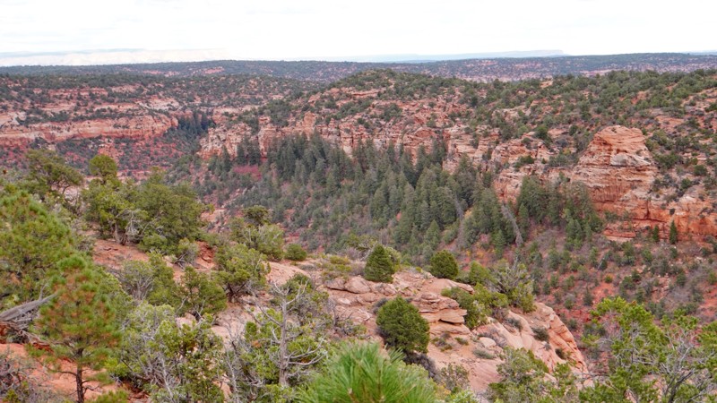 Utah: Indian Canyon Road Hero Photo