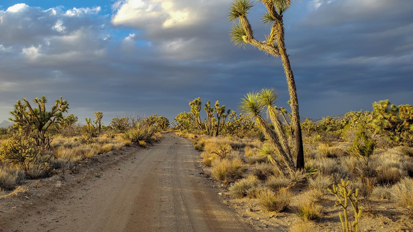 Highlight: https://images-prod.trailsoffroad.com/scout_routes/313/hero_file_name/1649291412600_resized_20220328_181123.jpg