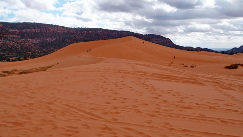 Utah: Coral Pink Sand Dunes Hero Photo