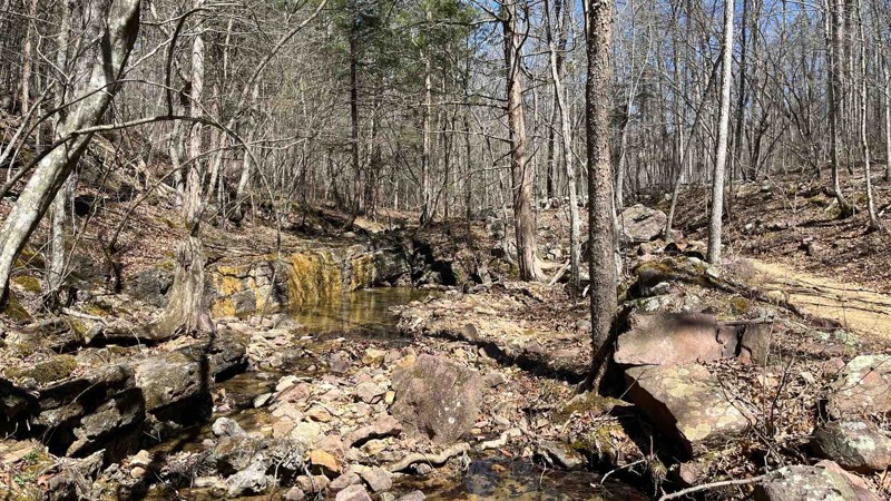 CR P-235 Trail Review Photo