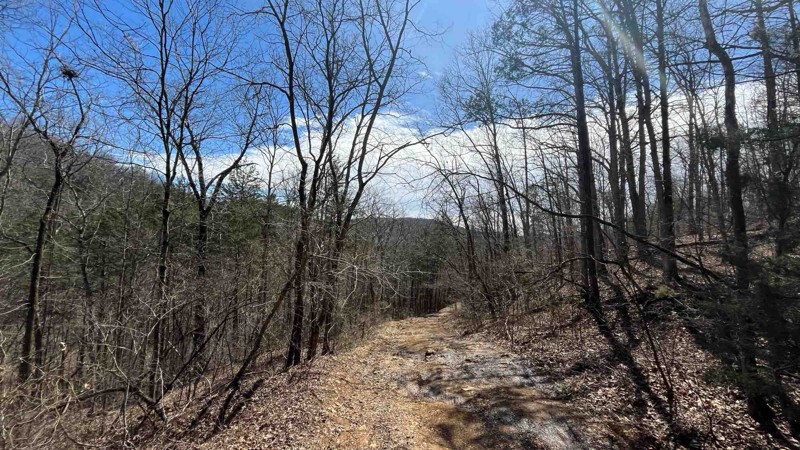 CR P-235 Trail Review Photo
