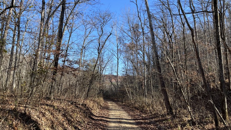 CR 242 Trail Review Photo