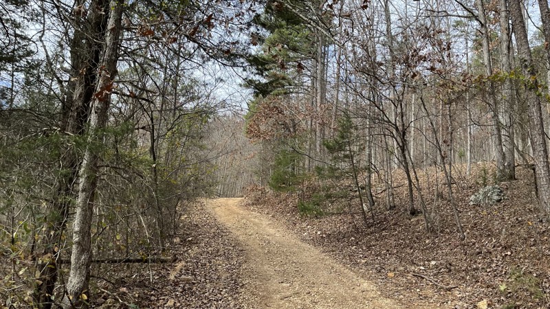 CR 236 Trail Review Photo