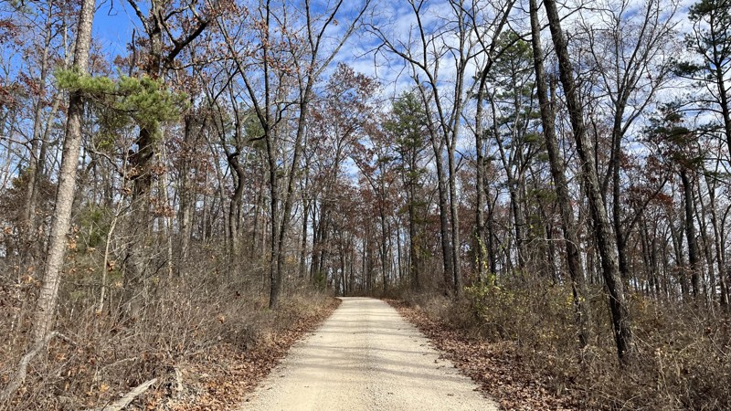 CR 224 Trail Review Photo