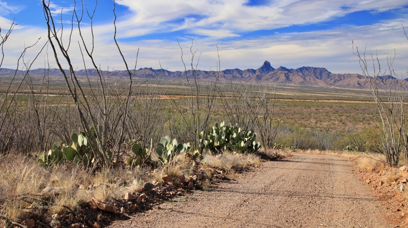 Arizona: Mesquite Loop Hero Photo