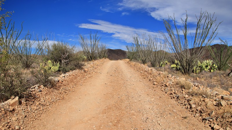 Mesquite Loop Trail Review Photo