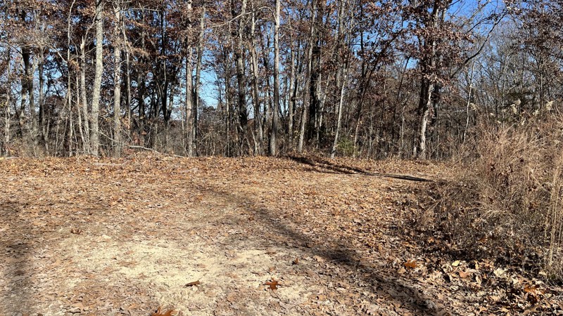 CR 19-324 Trail Review Photo