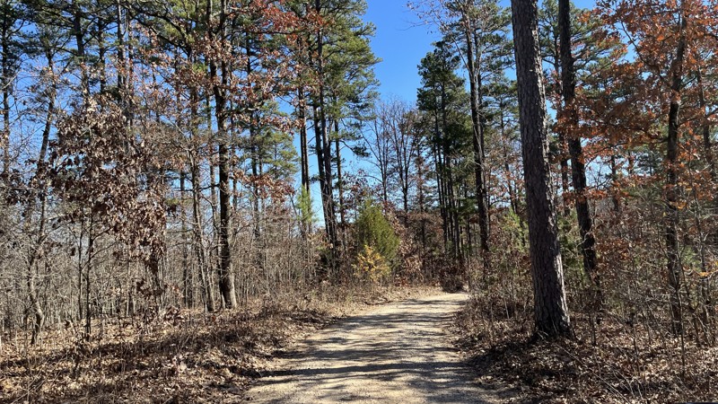 CR 19-324 Trail Review Photo