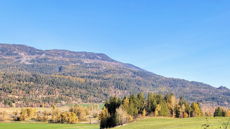 Hidden Lake Road Trail Review Photo