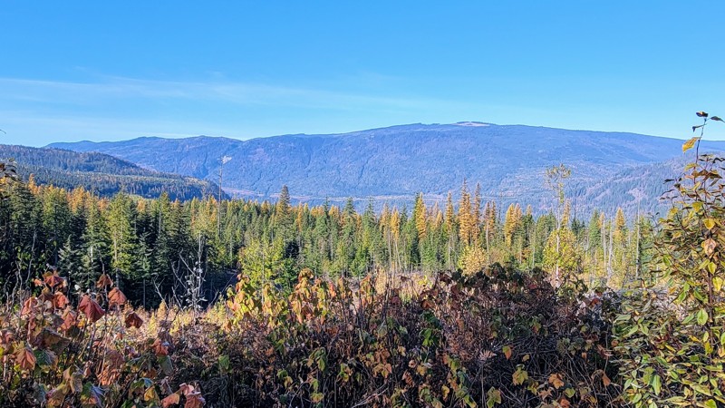Hidden Lake Road Trail Review Photo