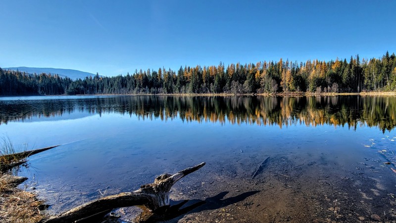 Baird Lake Road Trail Review Photo