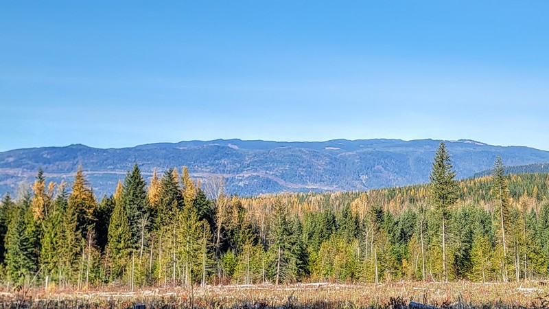 Bobby Burns Road Trail Review Photo