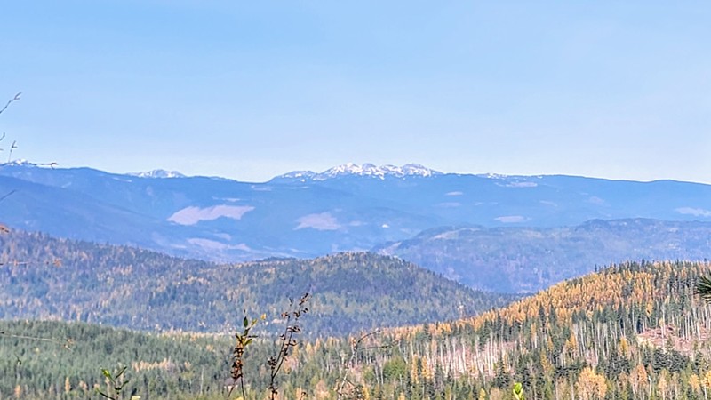 Bobby Burns Road Trail Review Photo