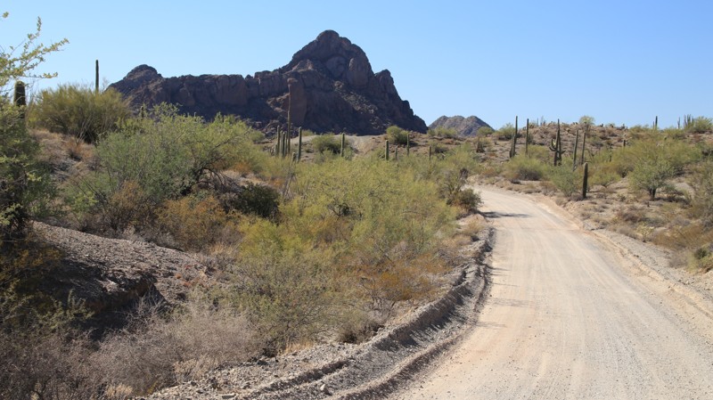 Ajo Scenic Loop Trail Review Photo