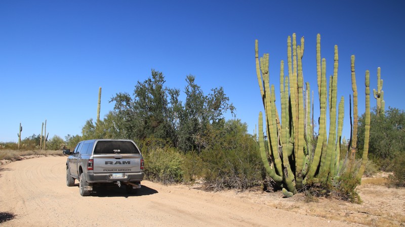 Senita Basin Trail Review Photo