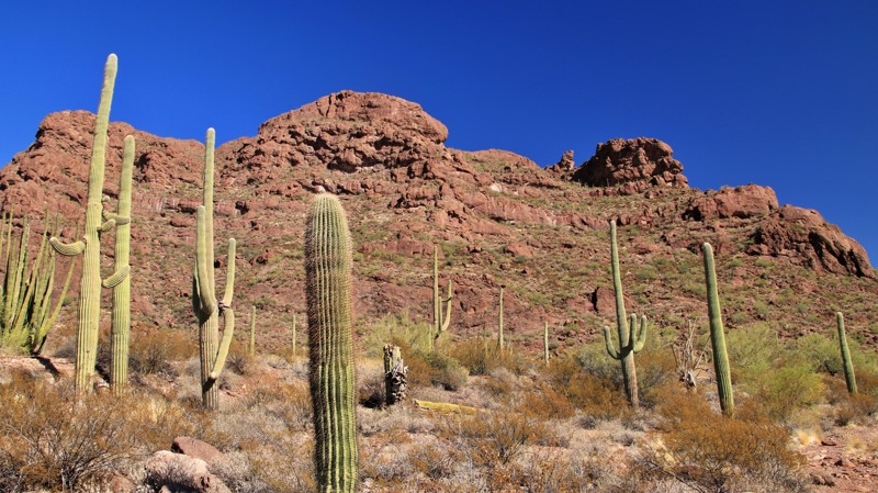 Arizona: Alamo Canyon Hero Photo