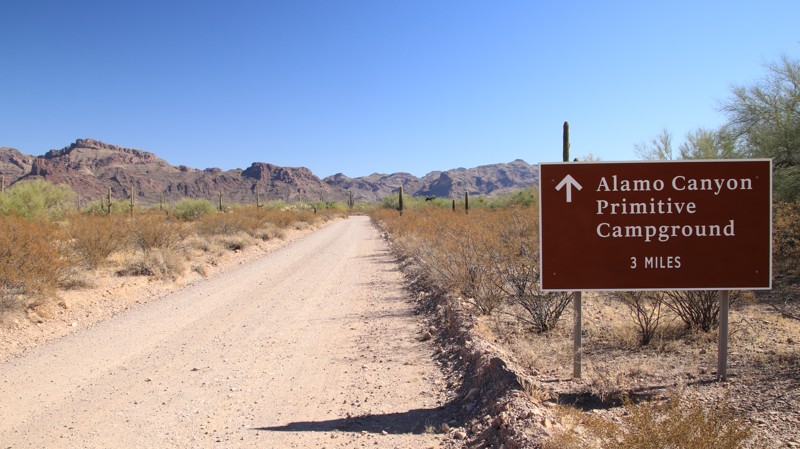Alamo Canyon Trail Review Photo