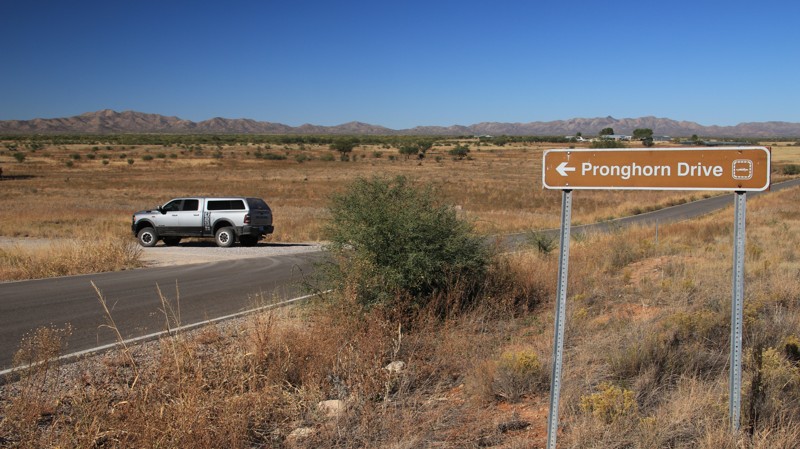 Pronghorn Loop Trail Review Photo