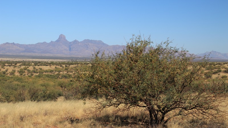 Pronghorn Loop Trail Review Photo