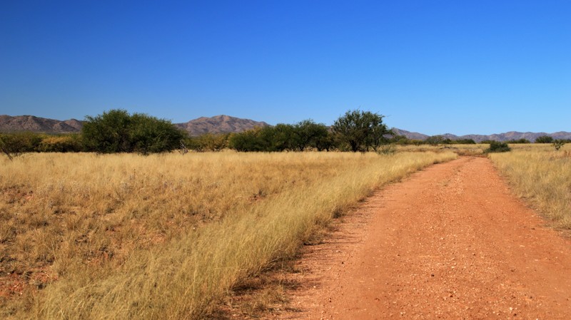 Barrel Cactus Road Trail Review Photo
