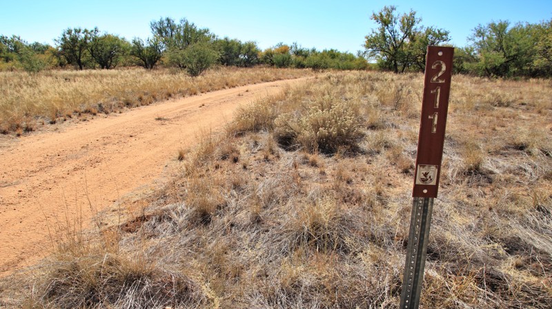 Arizona: Mormon Lake Road Hero Photo