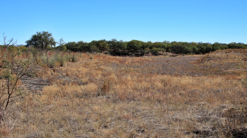 Mormon Lake Road Trail Review Photo