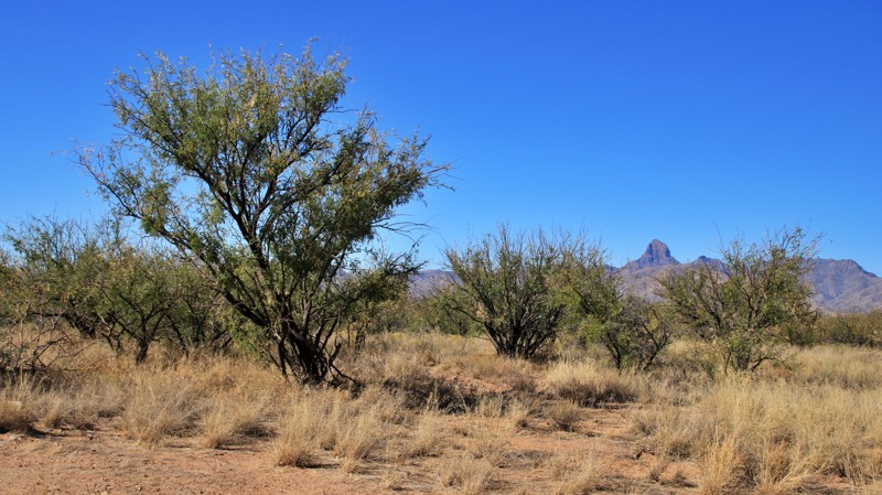 Arizona: High Gates Road Hero Photo