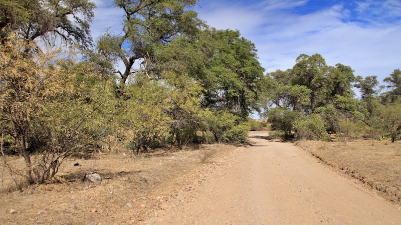 Tre Bolotis Road Trail Review Photo