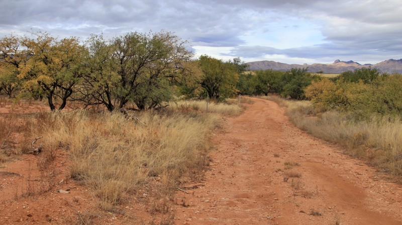 Arizona: BANWR 254 Hero Photo