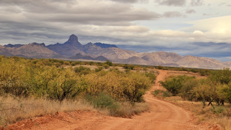 Arizona: Big Bertha Hero Photo
