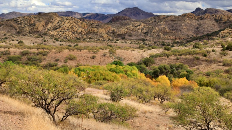 Arivaca Lake Trail Review Photo