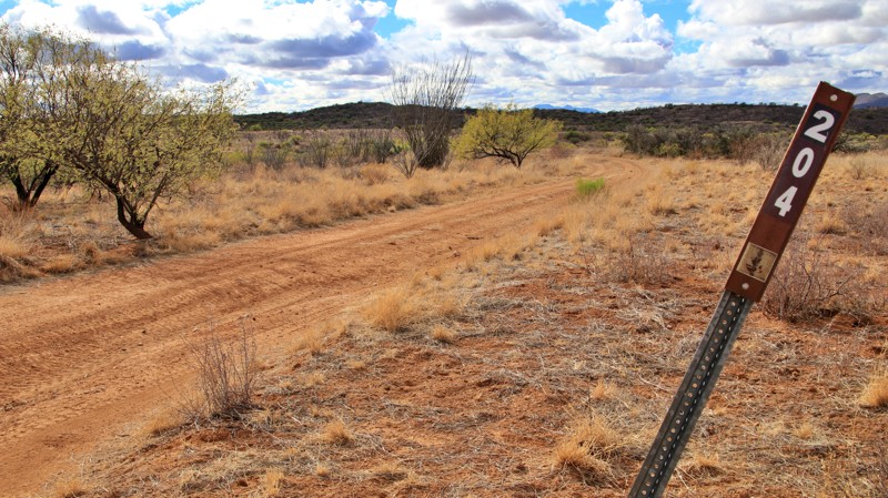 Herman Tank Road Trail Review Photo