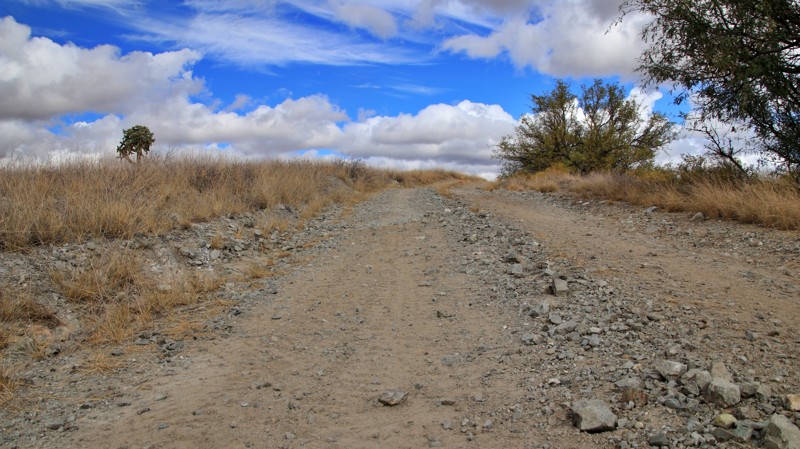 Herman Tank Road Trail Review Photo