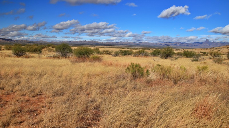 Arizona: Choffo Tank Road Hero Photo