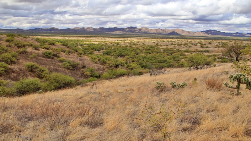 Arizona: Yellow Jacket Road Hero Photo