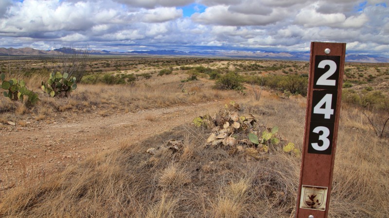 Yellow Jacket Road Trail Review Photo