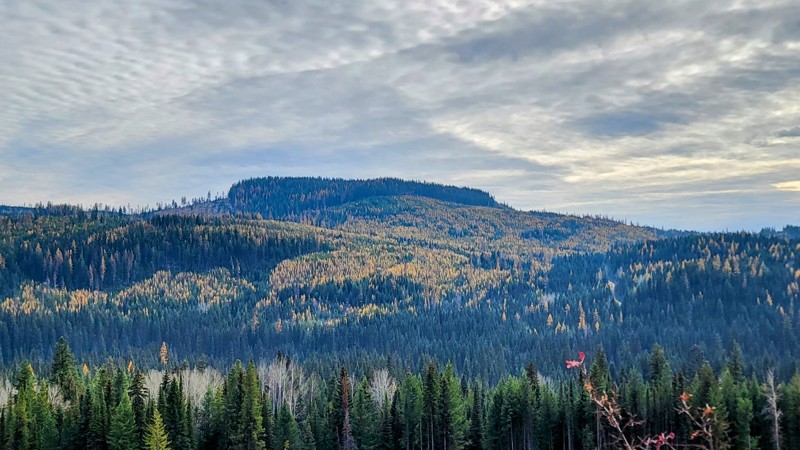 British Columbia: Aberdeen Lake Forest Service Road Hero Photo