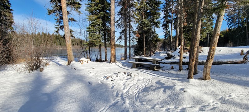 Dee Lake Forest Service Road Trail Review Photo